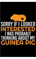 Sorry If I Looked Interested I Was Probably Thinking About My Guinea Pig