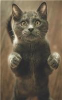 Notes: Lined Notebook 120 Pages, 60 Sheets (5 X 8 Inches) Ruled Writing Journal with an Adorable Gray Cat Standing Up