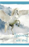 Unicorns Are Real