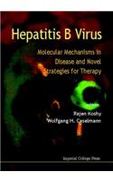 Hepatitis B Virus: Molecular Mechanisms in Disease and Novel Strategies for Therapy