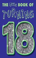 Little Book of Turning 18
