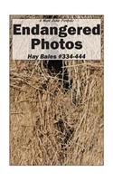 Endangered Photos