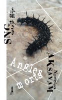Angles morts