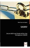 SAODV - Secure AODV and Simple Ad hoc Key Management (SAKM)