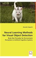 Neural Learning Methods for Visual Object Detection - Brain-like Principles for Environment Perception in Artificial Cognitive Systems