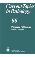 Perinatal Pathology