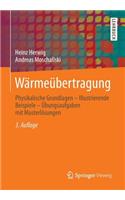 Wärmeübertragung: Physikalische Grundlagen - Illustrierende Beispiele - Übungsaufgaben Mit Musterlösungen