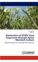 Elimination of SCMV from Sugarcane through Apical Meristem Culture