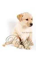 Puppy - Fine Art Photography