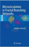 Microcirculation in Fractal Branching Networks