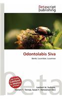 Odontolabis Siva: (English)