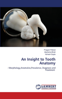 Insight to Tooth Anatomy