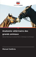 Anatomie vétérinaire des grands animaux