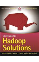 Professional Hadoop Solutions