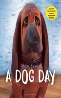 A Dog Day