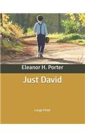 Just David
