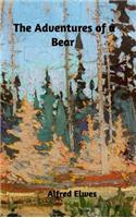 The Adventures of a Bear