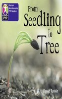Primary Years Programme Level 2 From Seedling to tree 6Pack: (Pearson Baccalaureate PrimaryYears Programme)