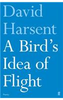 A Bird's Idea of Flight