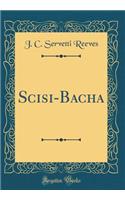 Scisi-Bacha (Classic Reprint)