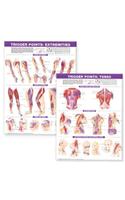 Trigger Point Chart Set: Torso & Extremities  Lam