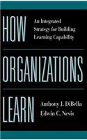 How Organizations Learn: An Integrated Strategy for Building Learning Capability