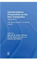 The New Immigrant in American Society