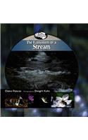 The Ecosystem of a Stream