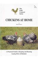 Chickens at Home