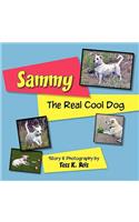 Sammy; The Real Cool Dog