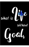 What is life without goals