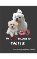 My Heart Belongs To Maltese 2020 Monthly Organizer Planner