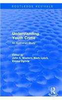 Understanding Youth Crime