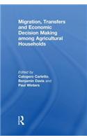 Migration, Transfers and Economic Decision Making Among Agricultural Households