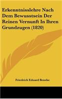 Erkenntnisslehre Nach Dem Bewusstsein Der Reinen Vernunft in Ihren Grundzugen (1820)