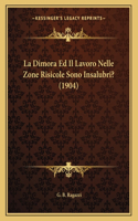 La Dimora Ed Il Lavoro Nelle Zone Risicole Sono Insalubri? (1904)