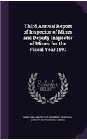 Third Annual Report of Inspector of Mines and Deputy Inspector of Mines for the Fiscal Year 1891