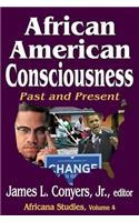 African American Consciousness