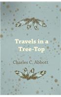 Travels in a Tree-Top