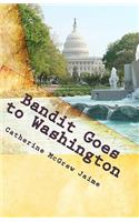 Bandit Goes to Washington