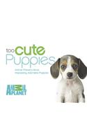 Too Cute Puppies