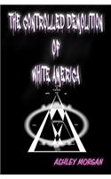 The Controlled Demolition of White America