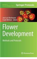 Flower Development