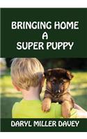 Bringing Home A Super Puppy