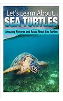 Sea Turtles (Lets Learn About)