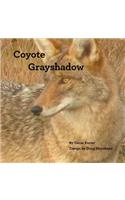 Coyote Grayshadow