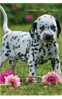 Dalmatian May Notebook Dalmatian Record, Log, Diary, Special Memories, To Do List, Academic Notepad, Scrapbook & More