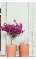 Rustic Terracotta Pots, a Flowering Plant, and Cobblestones Journal