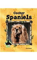 Cocker Spaniels