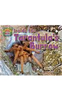 Inside the Tarantula's Burrow: (Snug as a Bug: Where Bugs Live)
